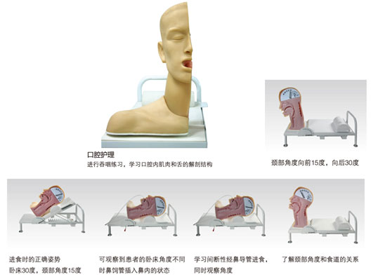 高級吞咽機制模型如何使用