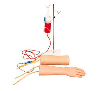 手部、肘部組合式靜脈（血）訓(xùn)練模型