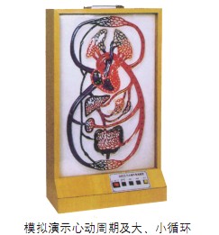 大、小循環(huán)電動(dòng)模型